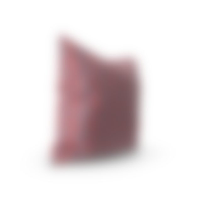 Throw Pillow.I15.2k