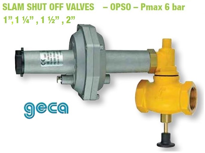 SSV 25-50NB